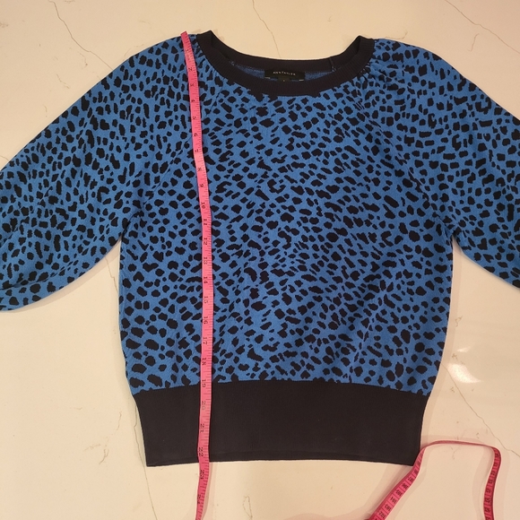 Ann Taylor - Animal Print Sweater - Picture 8 of 9